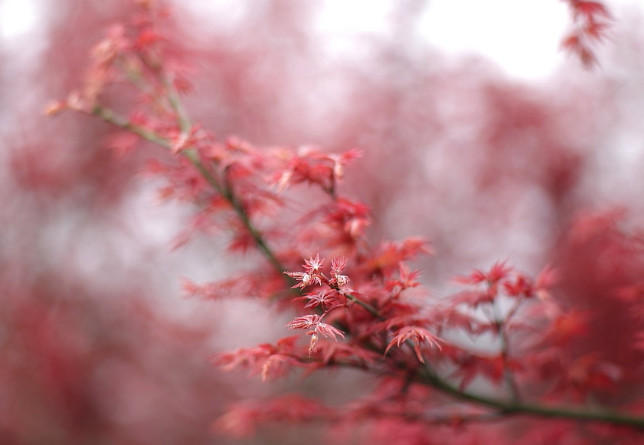 農(nóng)產(chǎn)品短視頻營銷策劃 農(nóng)產(chǎn)品短視頻營銷策劃