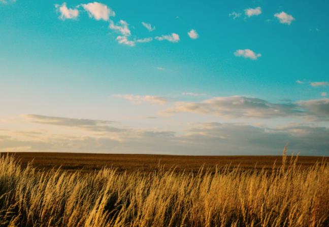 上海短視頻代運(yùn)營(yíng)公司如何構(gòu)建私域流量