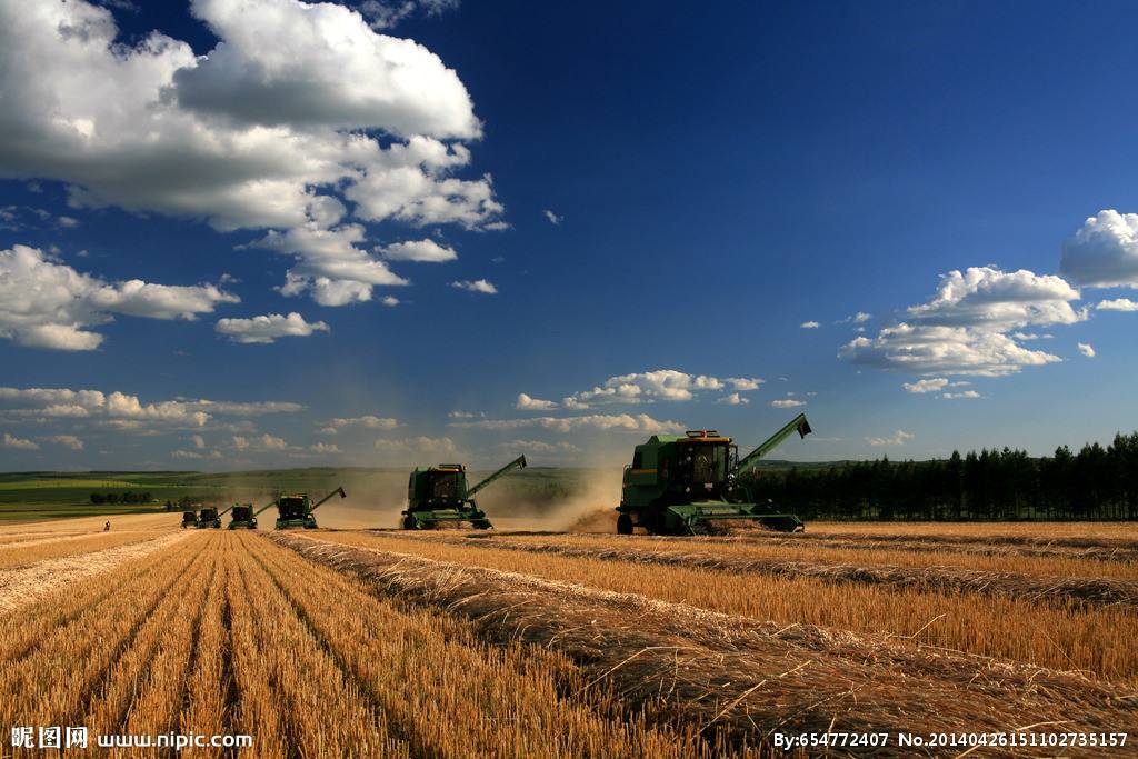 農(nóng)業(yè)品牌策劃多久能成功呢？