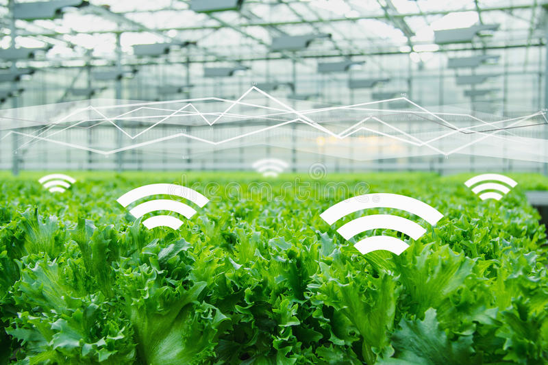 農(nóng)業(yè)品牌定位，互聯(lián)網(wǎng)農(nóng)業(yè)品牌定位