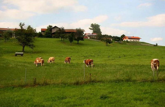 農(nóng)業(yè)品牌定位 農(nóng)業(yè)品牌定位