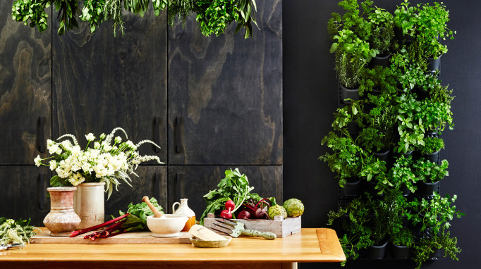 綠植租賃5.jpg 綠植租賃