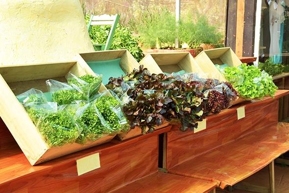 農(nóng)業(yè)包裝設(shè)計的重要作用與意義 農(nóng)業(yè)包裝設(shè)計的重要作用與意義