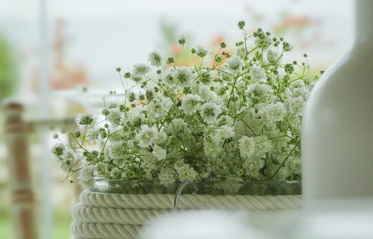 品牌全案策劃公司 品牌全案策劃公司