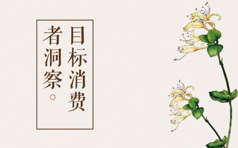 目標(biāo)消費(fèi)者洞察 中醫(yī)理療品牌全案策劃