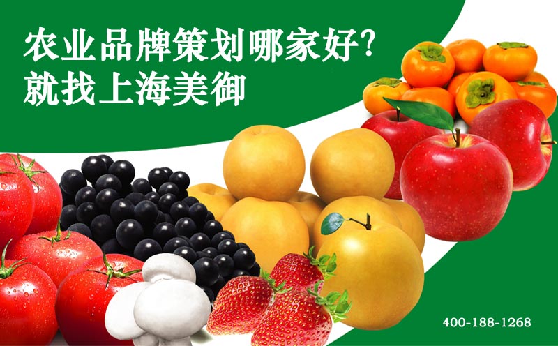 農(nóng)業(yè)企業(yè)品牌發(fā)展戰(zhàn)略指導(dǎo) 農(nóng)業(yè)企業(yè)品牌發(fā)展戰(zhàn)略指導(dǎo)