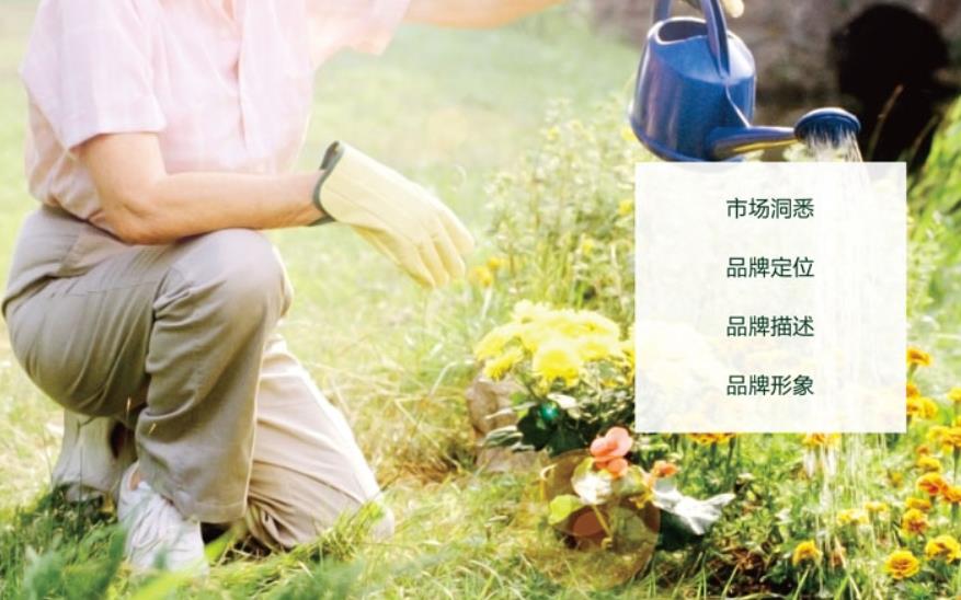 初創(chuàng)公司品牌全案營銷7大秘訣 初創(chuàng)公司品牌全案營銷7大秘訣