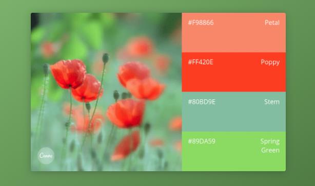 品牌全案設(shè)計師如何找到完美的色彩組合 品牌全案設(shè)計師如何找到完美的色彩組合