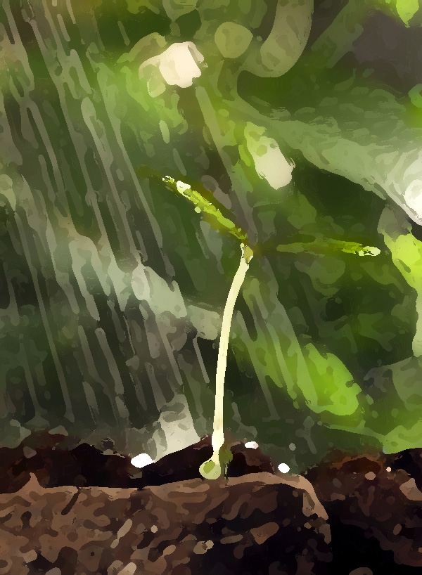 農(nóng)業(yè)公司品牌提升策劃，實(shí)現(xiàn)農(nóng)業(yè)垂直一體化