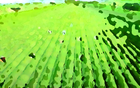 農(nóng)業(yè)品牌提升機(jī)構(gòu)，促進(jìn)農(nóng)業(yè)農(nóng)村經(jīng)濟(jì)轉(zhuǎn)型