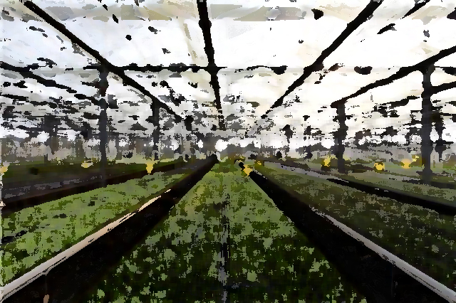 農(nóng)業(yè)企業(yè)品牌提升 推進(jìn)農(nóng)業(yè)品牌工作