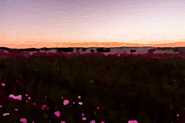 化妝品全案策劃公司應(yīng)該建立怎樣的形象？