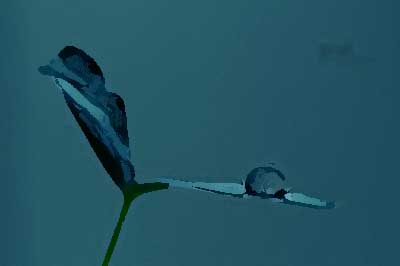 餐飲品牌設(shè)計的突破點有哪些？