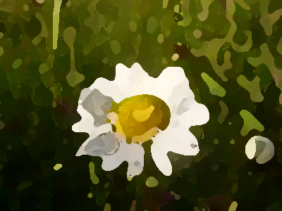 如何進(jìn)行農(nóng)業(yè)品牌形象提升？