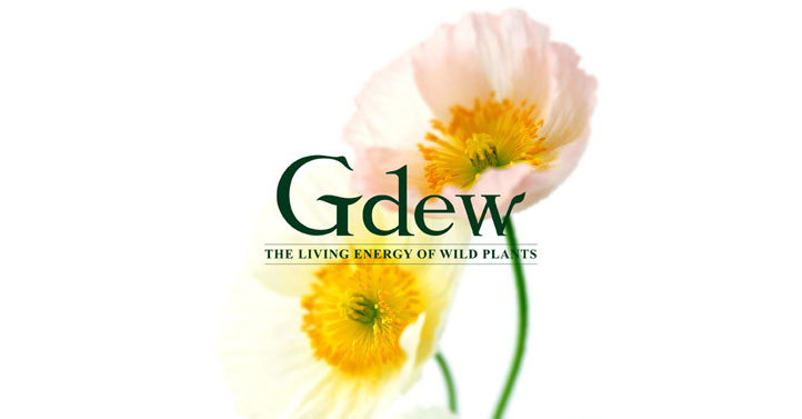 化妝品終端店鋪設(shè)計(jì)