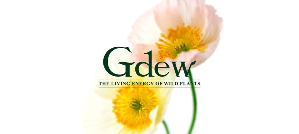 韓國Gdew化妝品  進(jìn)軍中國的品牌建設(shè)之路