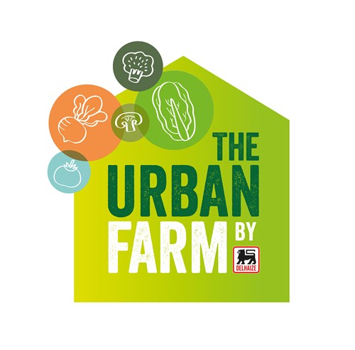 一套時(shí)尚的農(nóng)業(yè)品牌設(shè)計(jì)，設(shè)計(jì)簡潔明了，用色鮮明，讓人看了過目不忘，值得搞農(nóng)業(yè)品牌朋友學(xué)習(xí)交流。