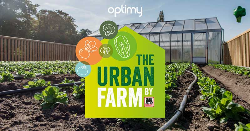 一套時(shí)尚的農(nóng)業(yè)品牌設(shè)計(jì)，設(shè)計(jì)簡潔明了，用色鮮明，讓人看了過目不忘，值得搞農(nóng)業(yè)品牌朋友學(xué)習(xí)交流。