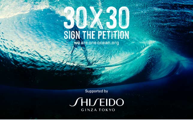 全球知名化妝品品牌資生堂藍(lán)色計劃