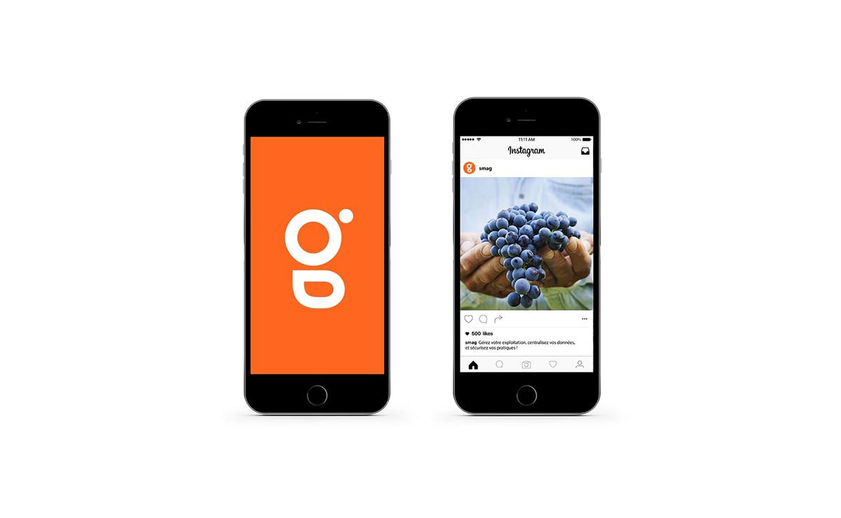 農(nóng)業(yè)品牌VI設(shè)計(jì)