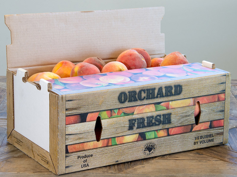 SurveyPeachBoxBliss.jpg SurveyPeachBoxBliss.jpg