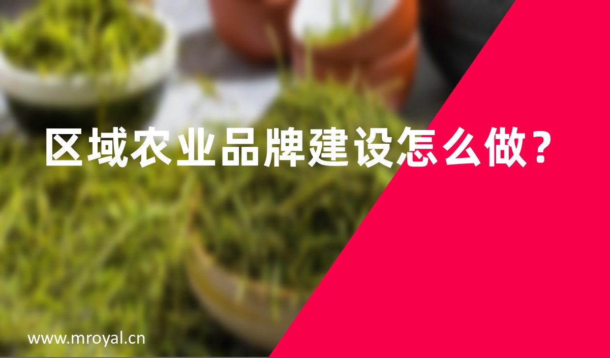 區(qū)域農(nóng)業(yè)品牌建設(shè)怎么做？