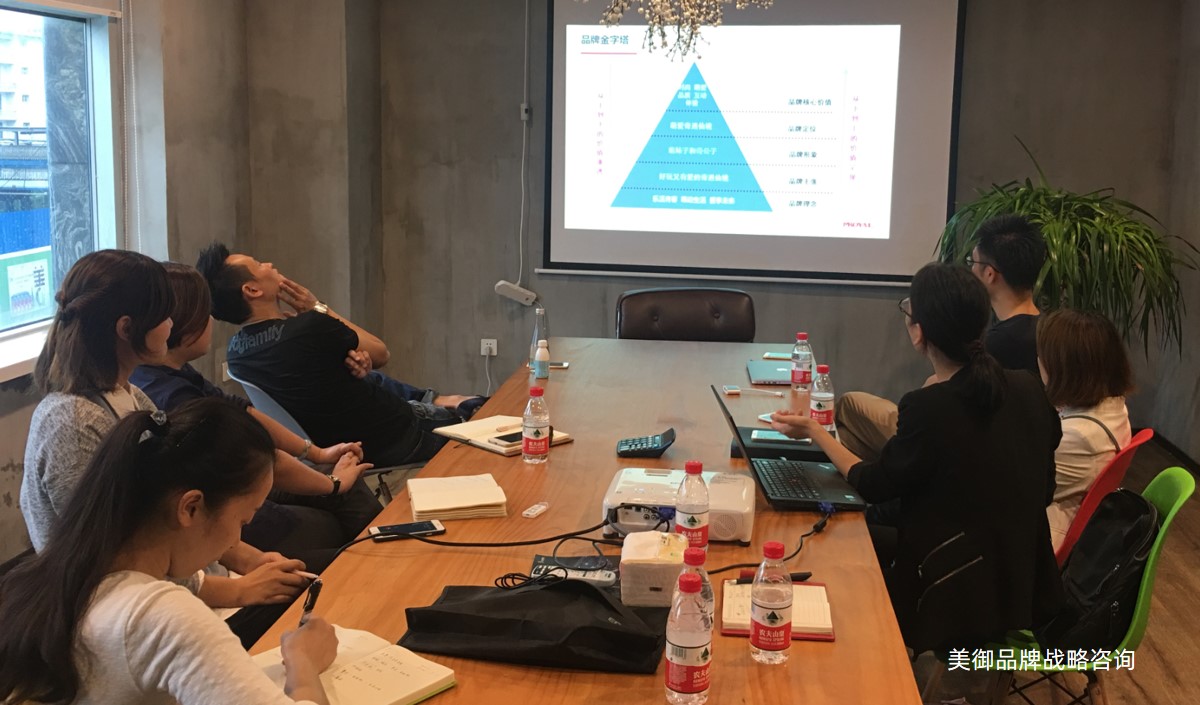 品牌戰(zhàn)略營(yíng)銷全案戰(zhàn)略指南-美御品牌策劃