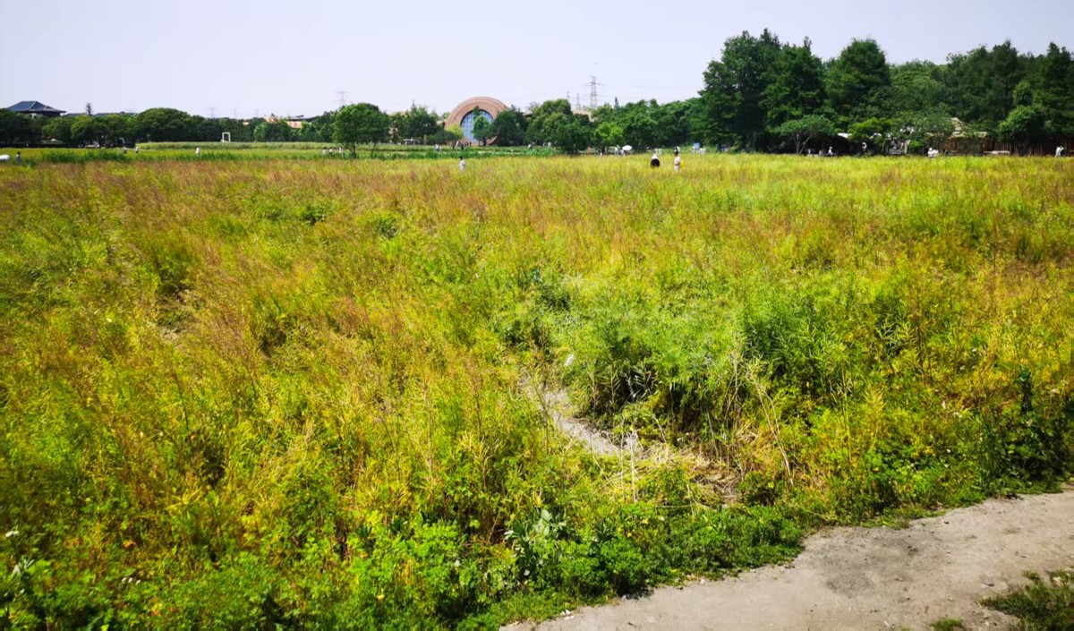 近郊農(nóng)業(yè)公司如何打造高端現(xiàn)代農(nóng)業(yè)品牌？